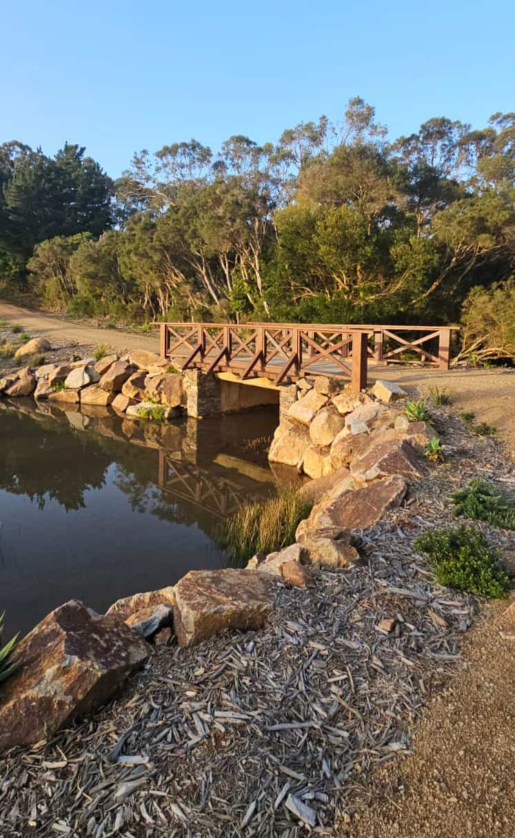 panorama-landscapes-bridge