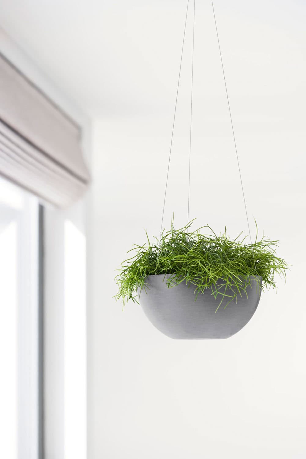 Potte Hanging Brussel i Grey fra Ecopots