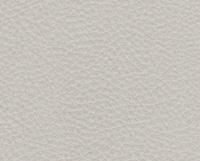 Textured light gray leather surface.