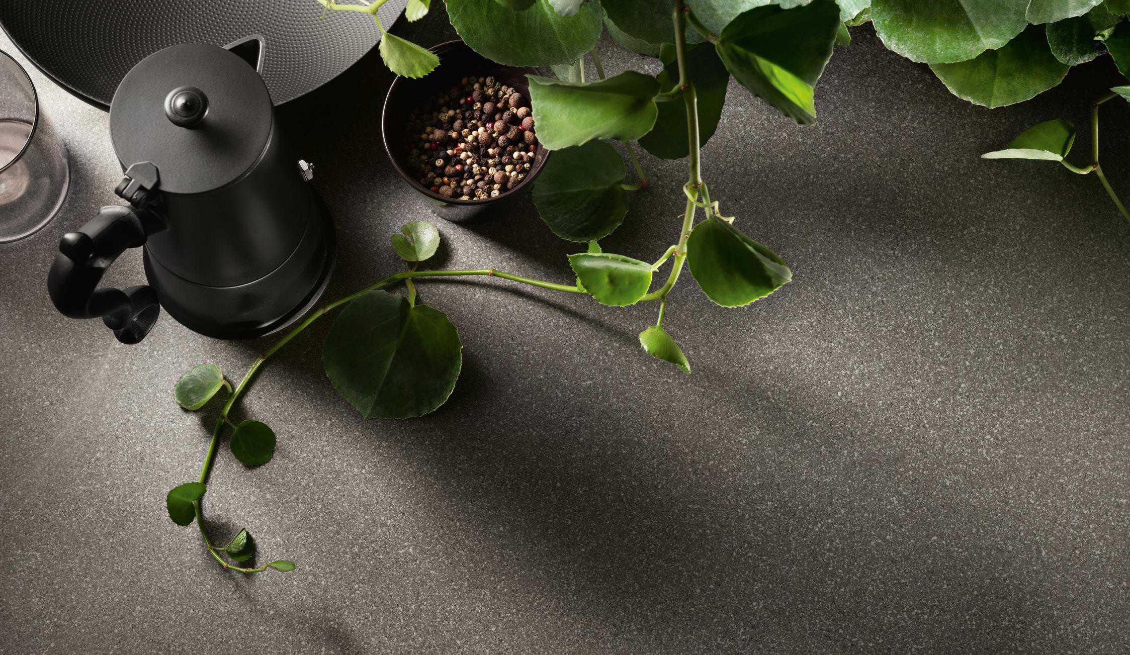 Aerial view of a black coffee pot, a small bowl of peppercorns, and a vine with green leaves on a dark textured countertop.