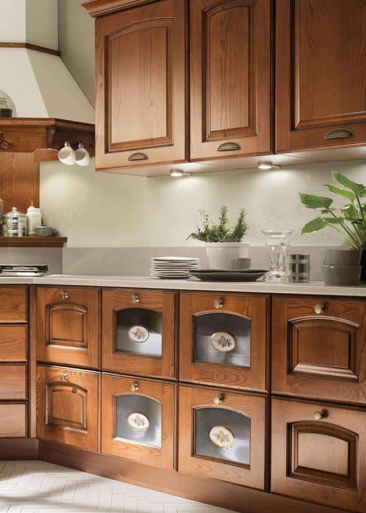 Traditional wooden kitchen cabinets with decorative handles and plates, under-cabinet lighting, and potted plants on the countertop.