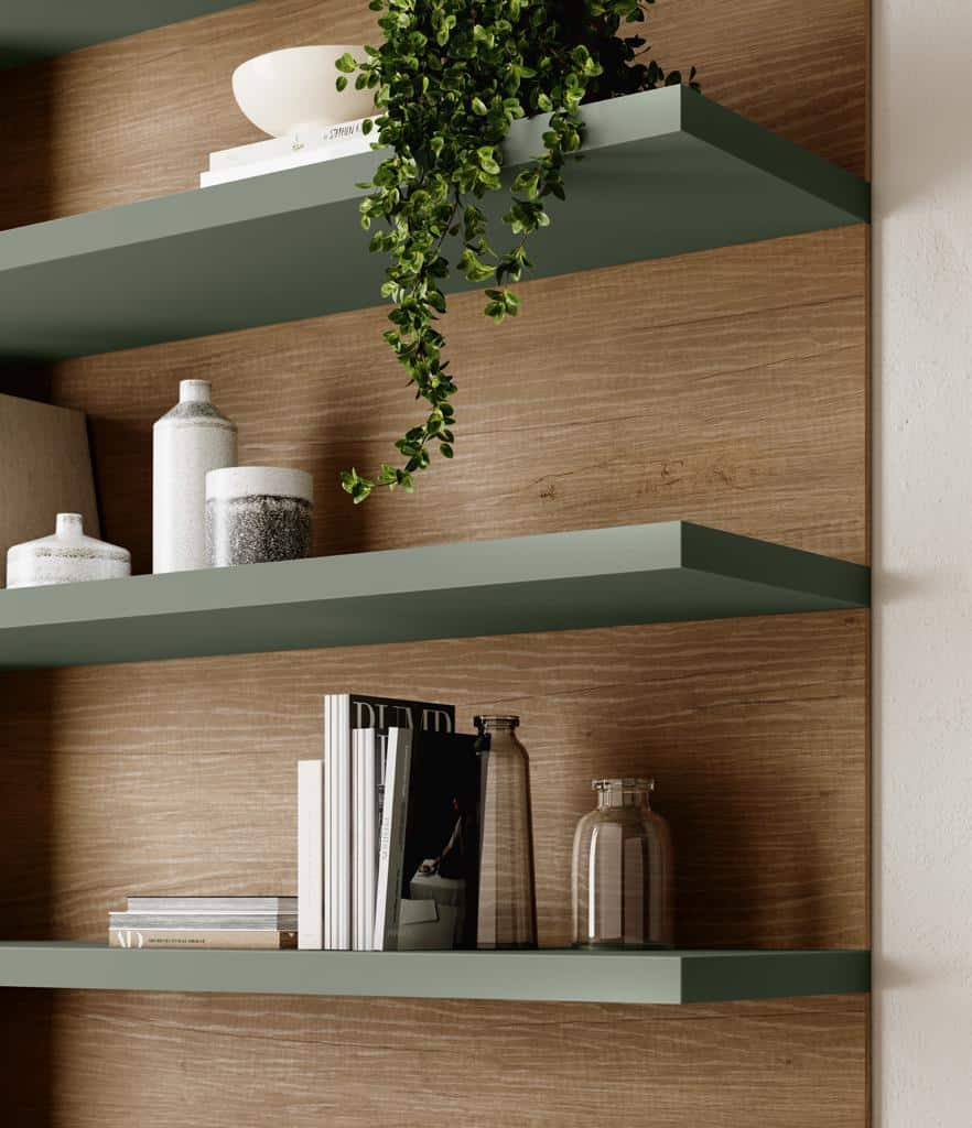 Wooden shelves with green edges holding a plant, decorative jars, magazines, and books.