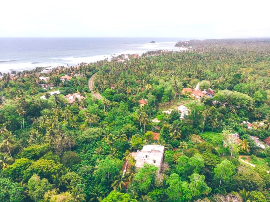 Aerial Roots Island Spirit Sri Lanka