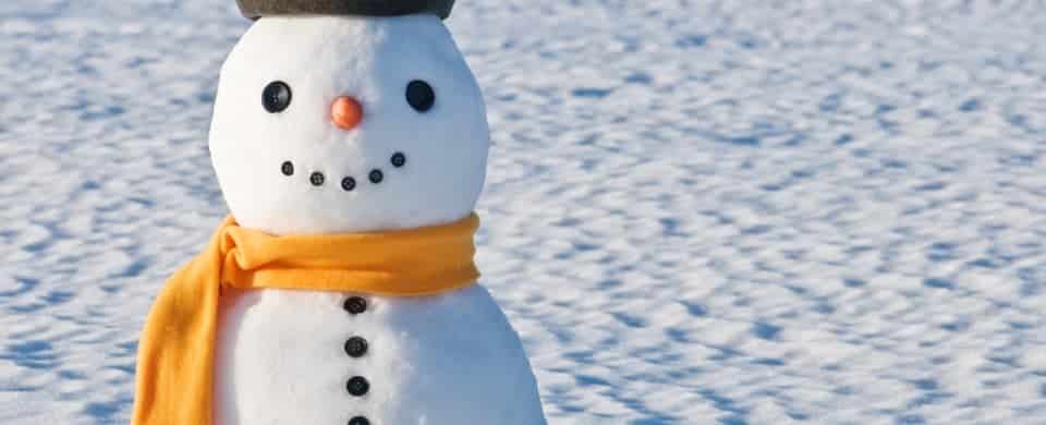 A snowman with a black hat, orange carrot nose, and orange scarf stands on a snowy field.