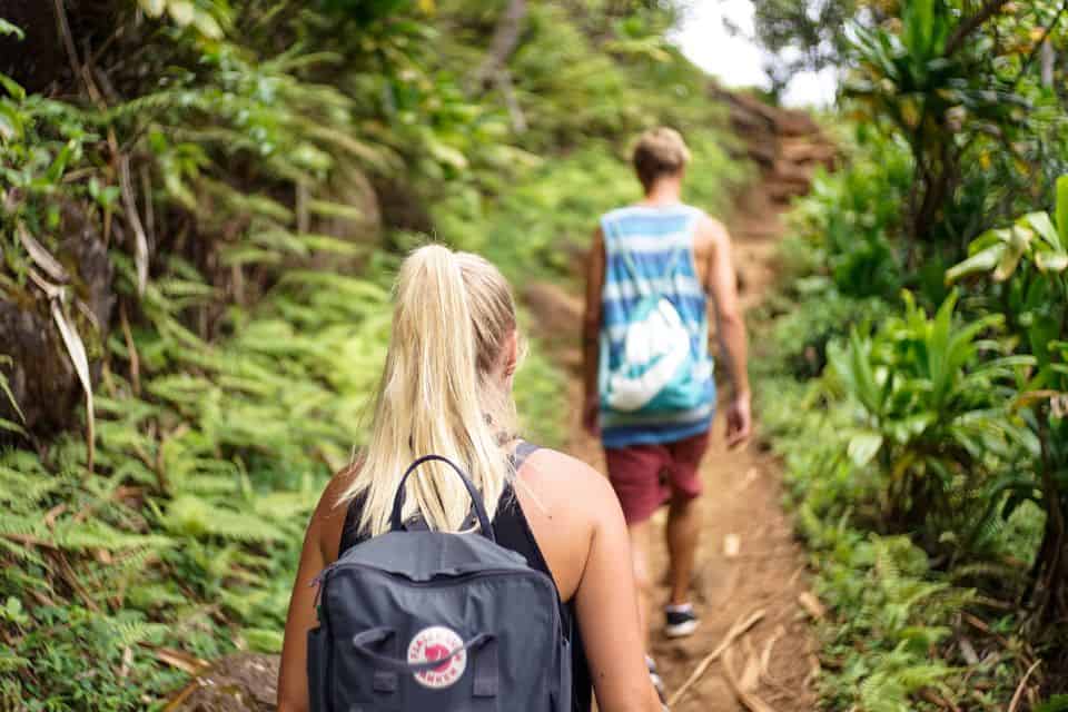 Paysage tropical de Guadeloupe avec sentier de randonnée au cœur de la nature