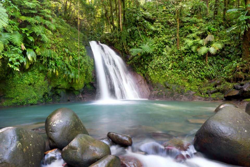 Cascade et forêt tropicale dans le Parc National de Guadeloupe – site naturel préservé