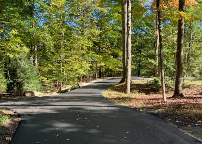 A smooth paved path by Legacy Paving leads through tall trees with colorful fall leaves, showing expert, careful work.