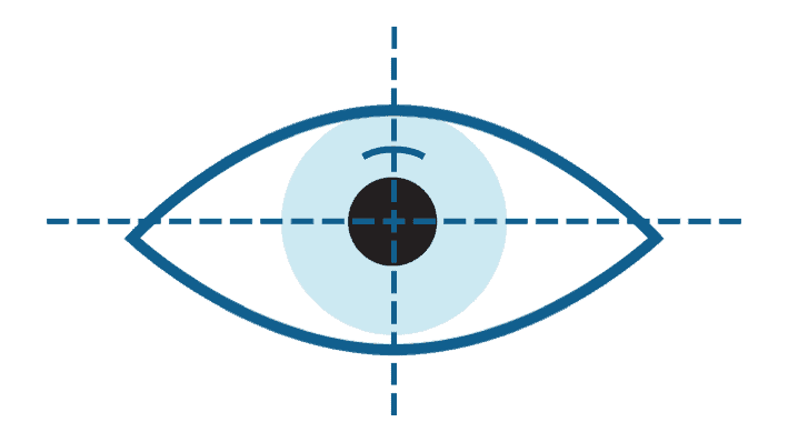 SMARTSIGHT ICON