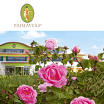 primavera aromatherapy natural cosmetics