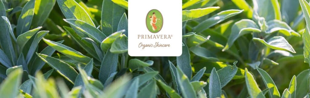 primavera skincare banner 1