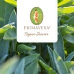 primavera skincare banner 1