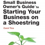 The Pocket Small Business Owner's Guide to Starting Your Business on a Shoestring