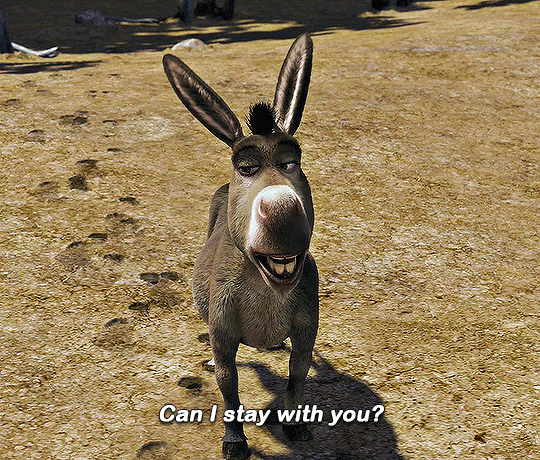 Can I stay with you? Gif