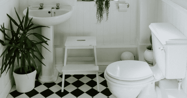 A small bathroom with a white pedestal sink, toilet, step stool, and a potted plant on a black and white checkered floor.