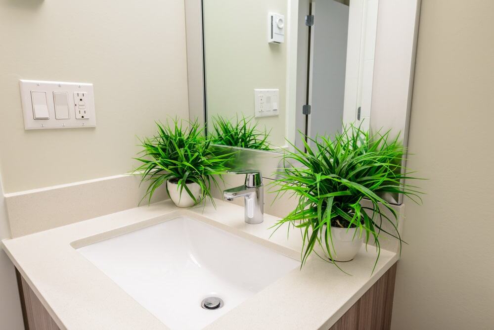 Bathroom sink with a mirror above, flanked by two potted green plants.
