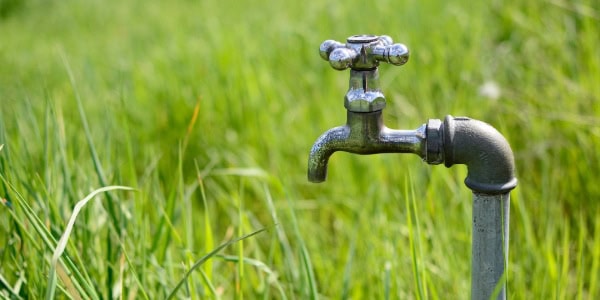 A metal outdoor faucet stands in a field of green grass.