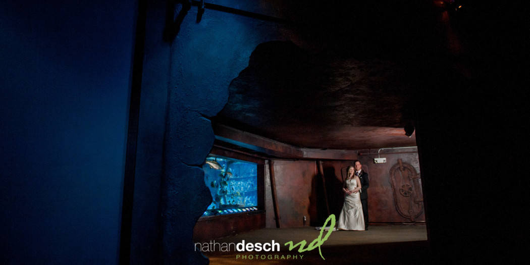 Adventure Aquarium Wedding Pictures by Best Philadelphia Wedding Photographer  Nathan Desch Photography