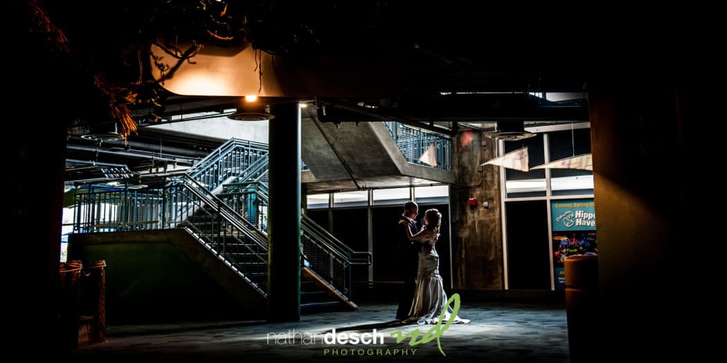 Adventure Aquarium Wedding Pictures by Best Philadelphia Wedding Photographer  Nathan Desch Photography