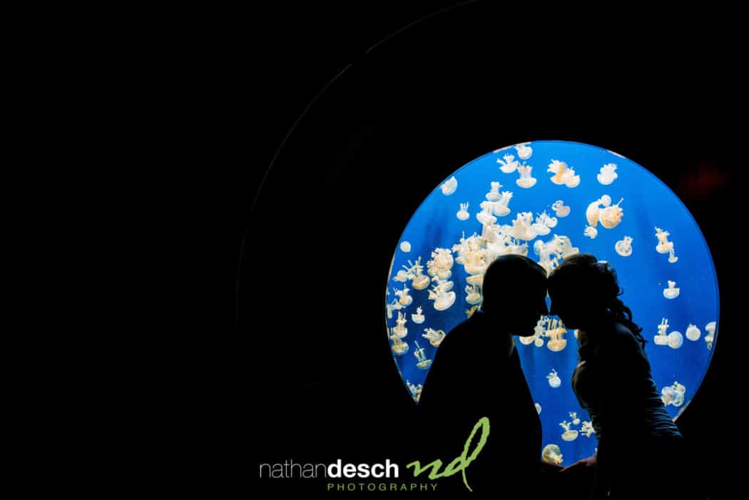 Adventure Aquarium Wedding Pictures by Best Philadelphia Wedding Photographer  Nathan Desch Photography