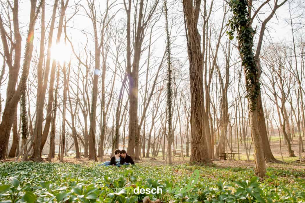 Arcadia Engagement pictures