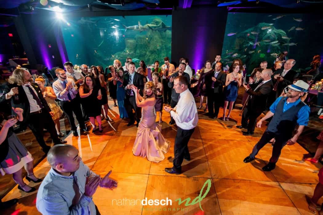 Camden Aquarium Wedding Pictures by Best Philadelphia Wedding Photographer  Nathan Desch Photography