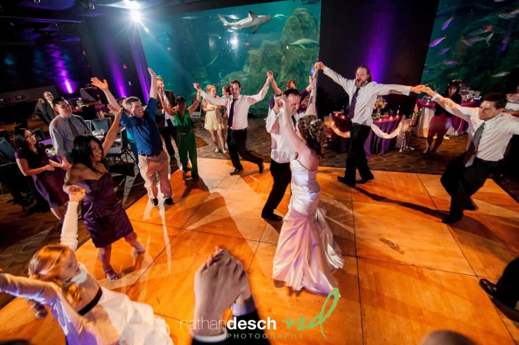 Camden Aquarium Wedding Pictures by Best Philadelphia Wedding Photographer  Nathan Desch Photography