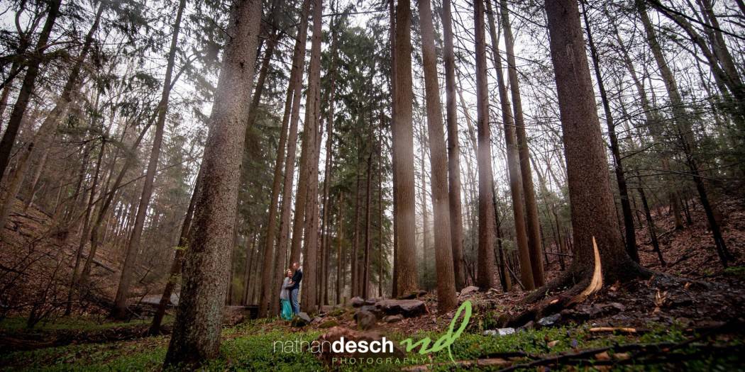 Nolde Forest Engagement Session By Reading Wedding Photographer Nathan Desch Photography
