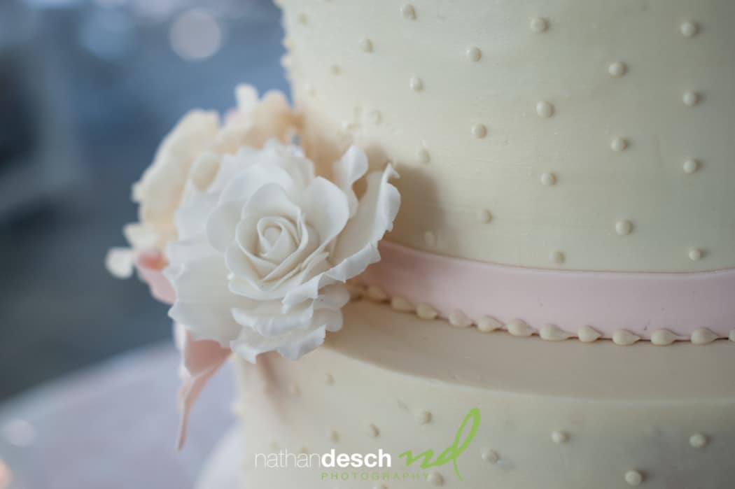 summer wedding at drumore estate Lancaster wedding photographer