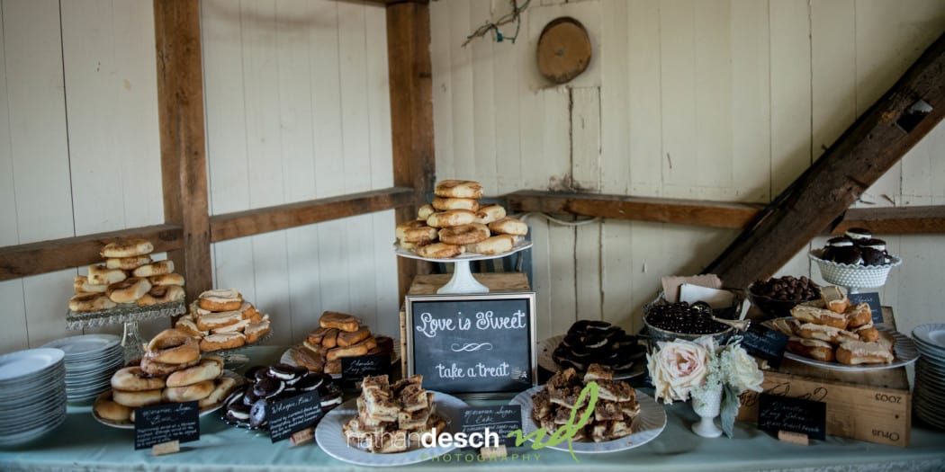 Landis-Valley-Museum-Wedding-Photographer (19 of 38)