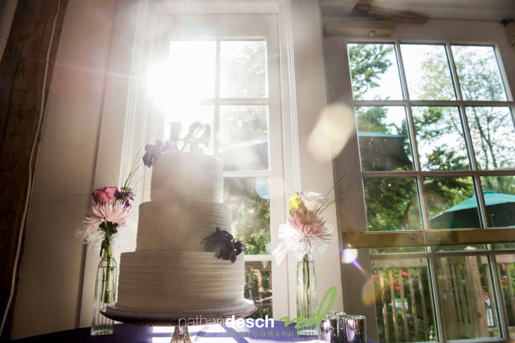 Best Riverdale Manor Wedding pictures