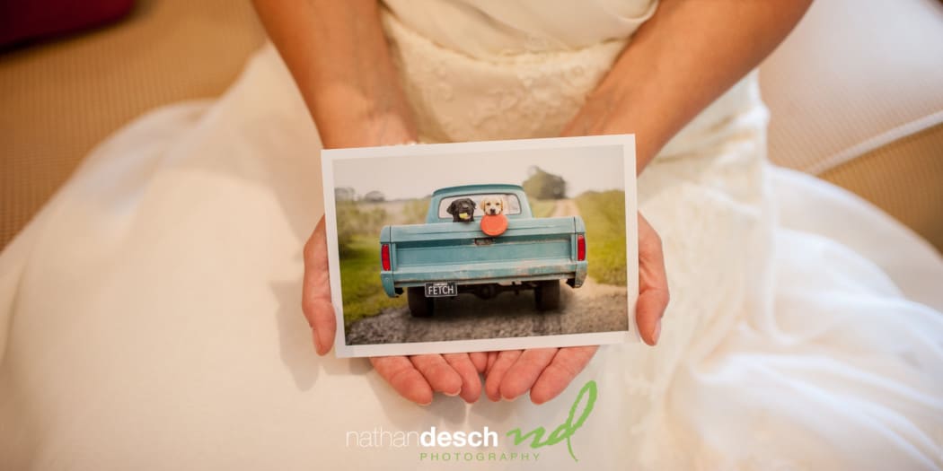 Best Riverdale Manor Wedding pictures