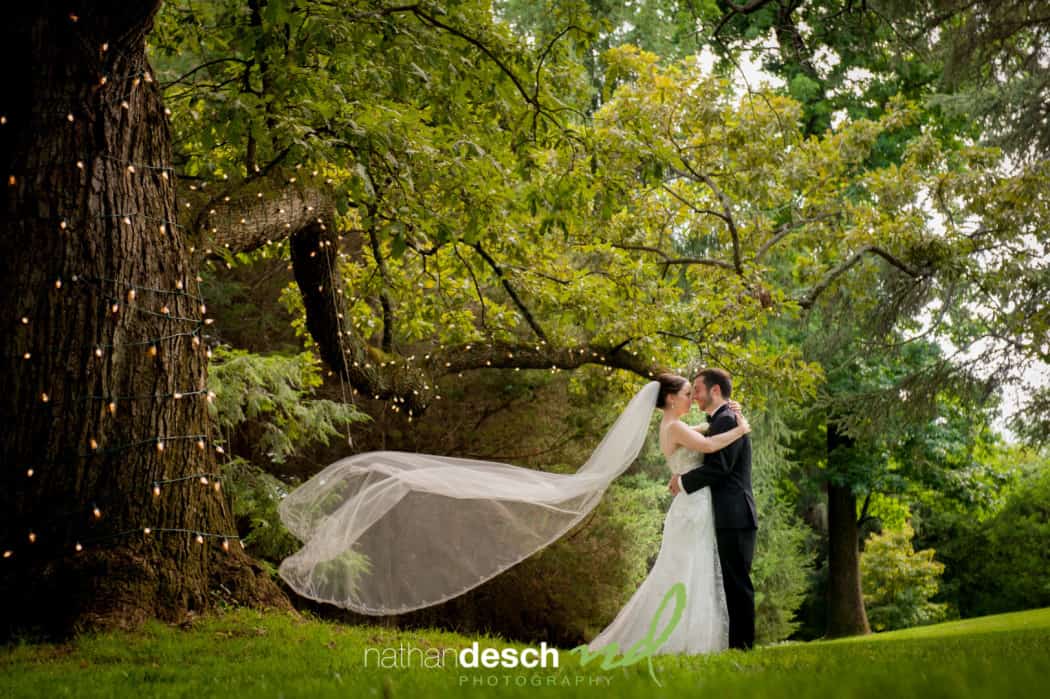 Best Wedding Pictures of 2014