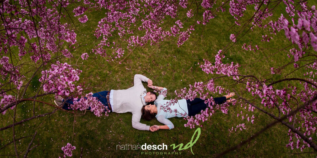Local Photographers