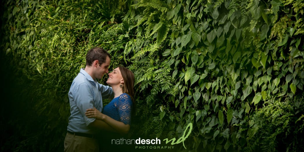 Longwood Gardens Pictures