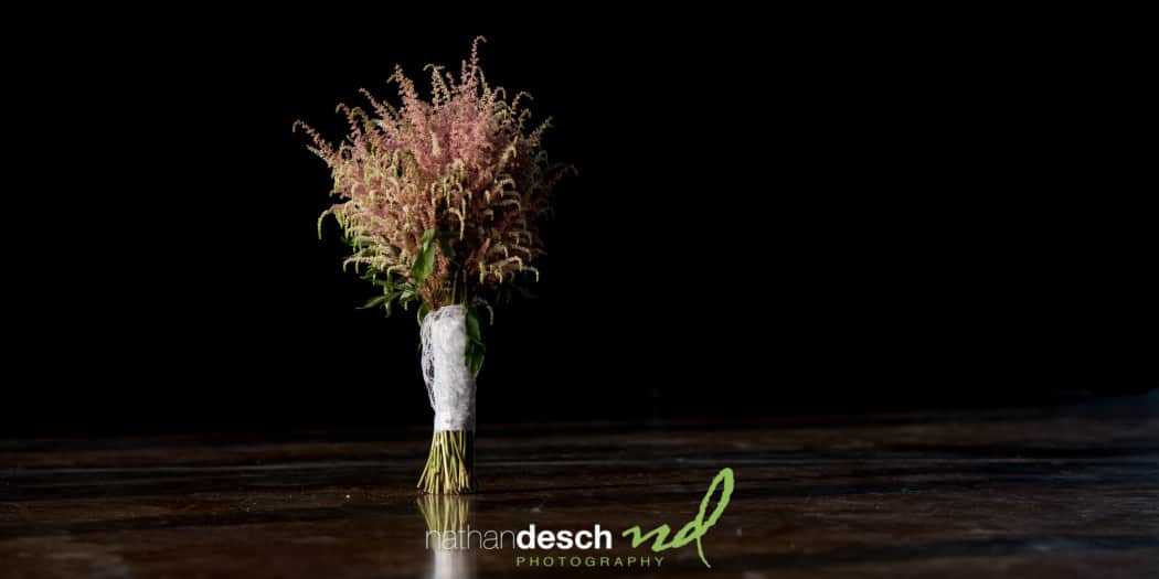 Historic Acres of Hershey wedding