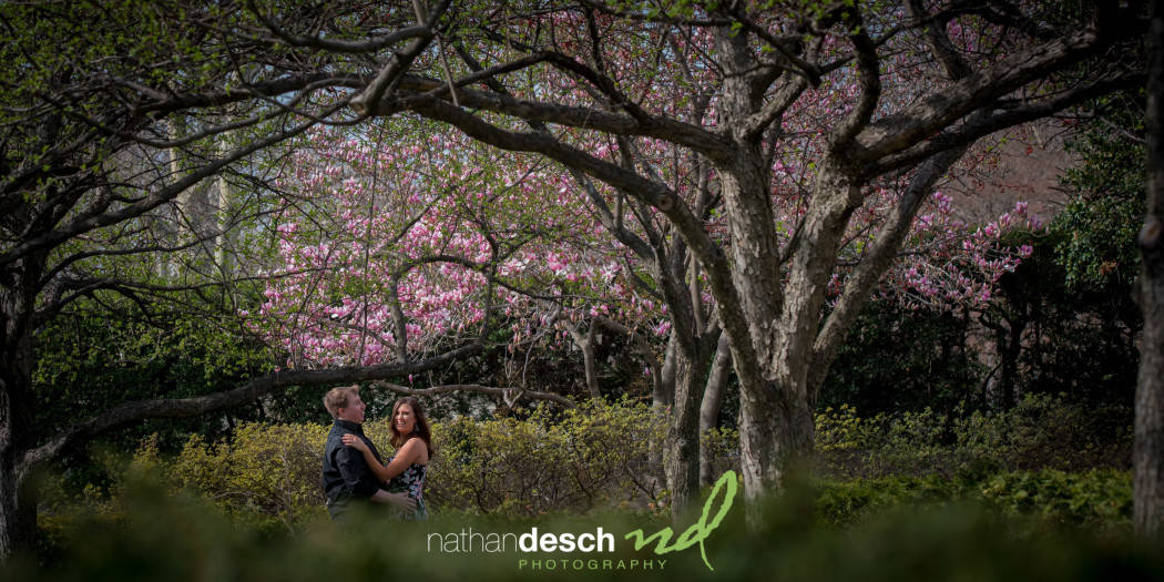 Lancaster Photographers