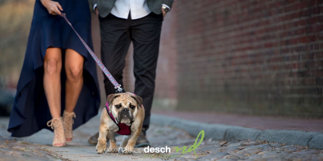 Philadelphia Engagement Photos