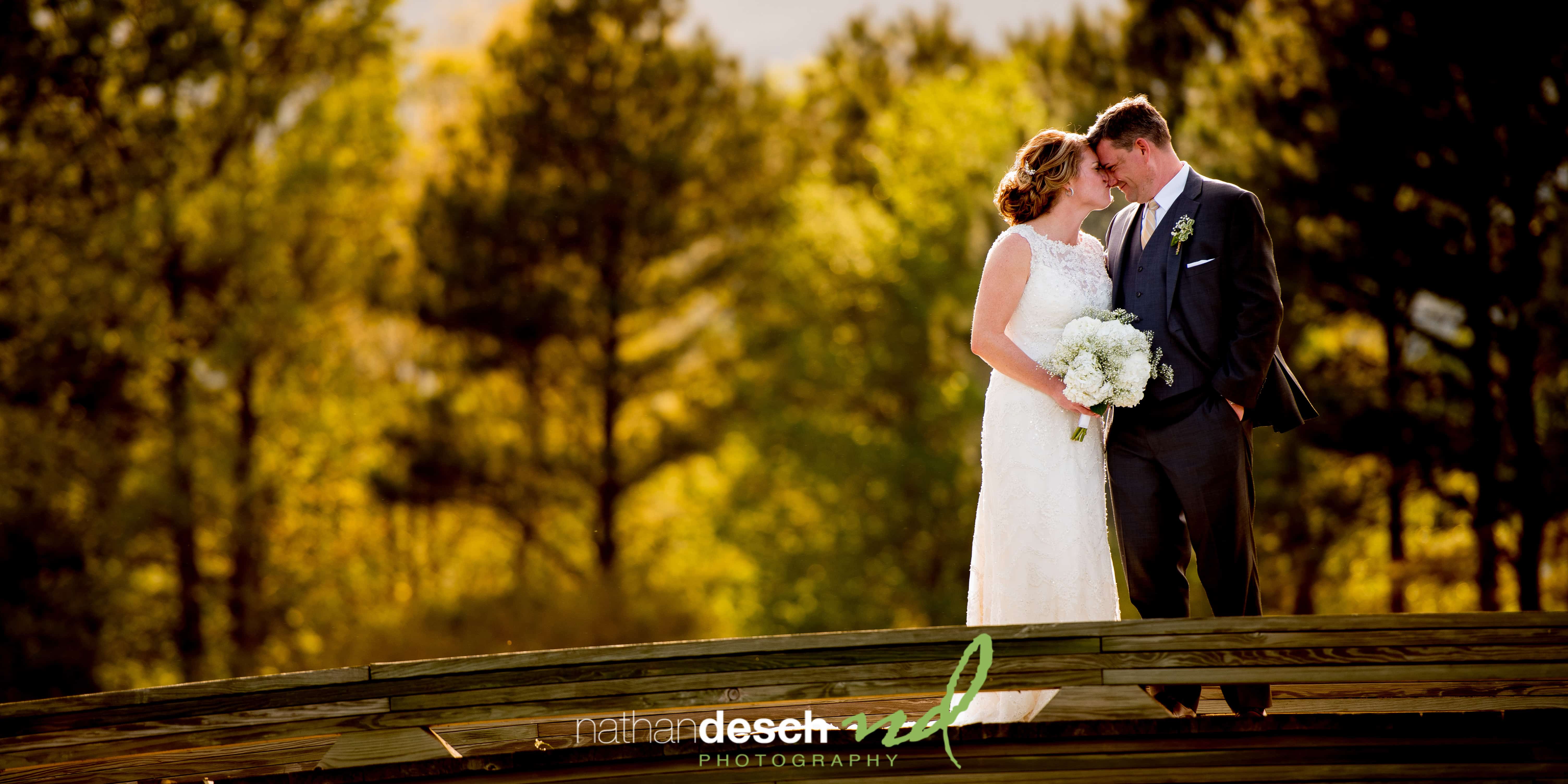Rehoboth Beach Photographers