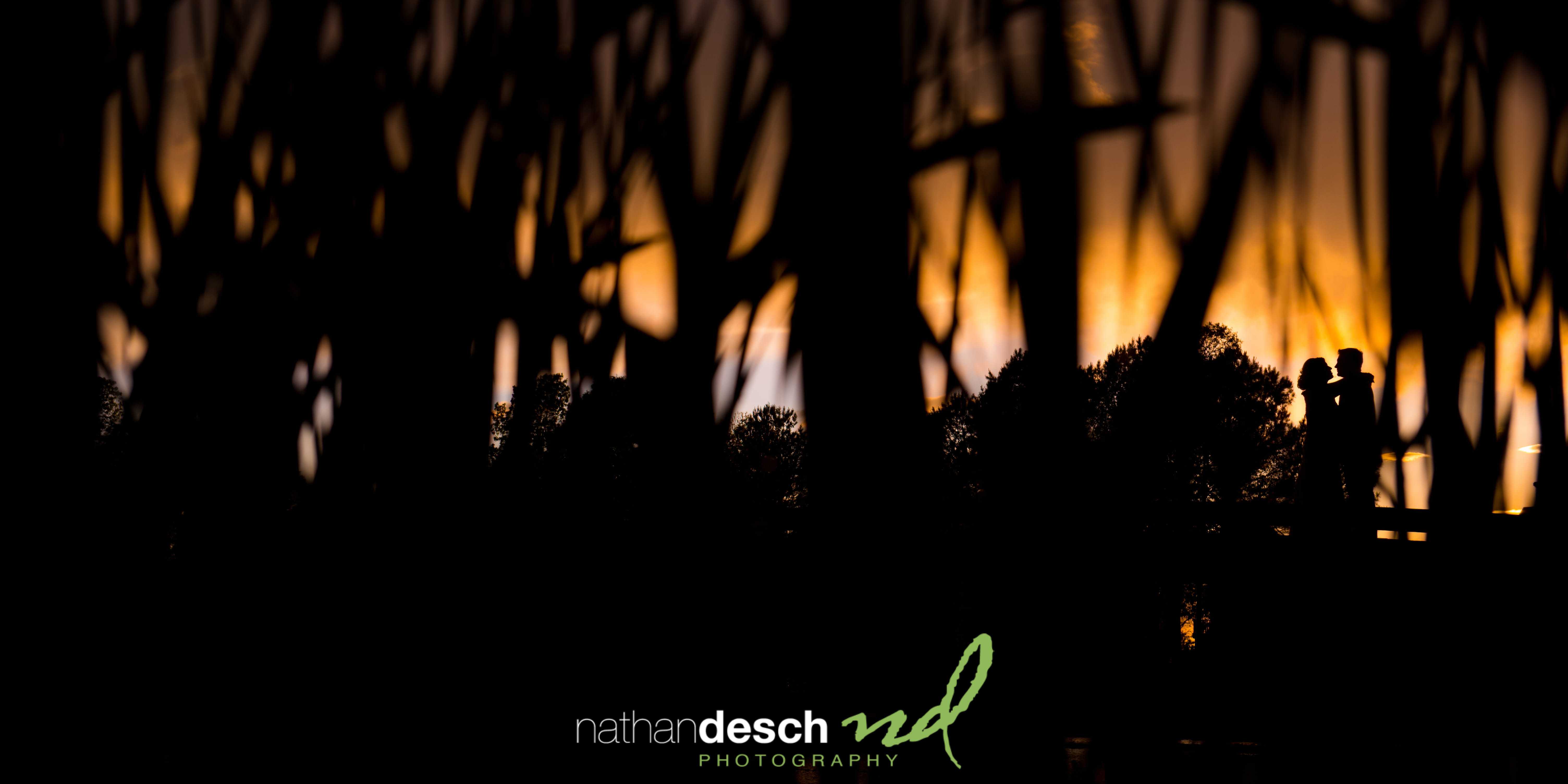 Rehoboth Beach Photographers