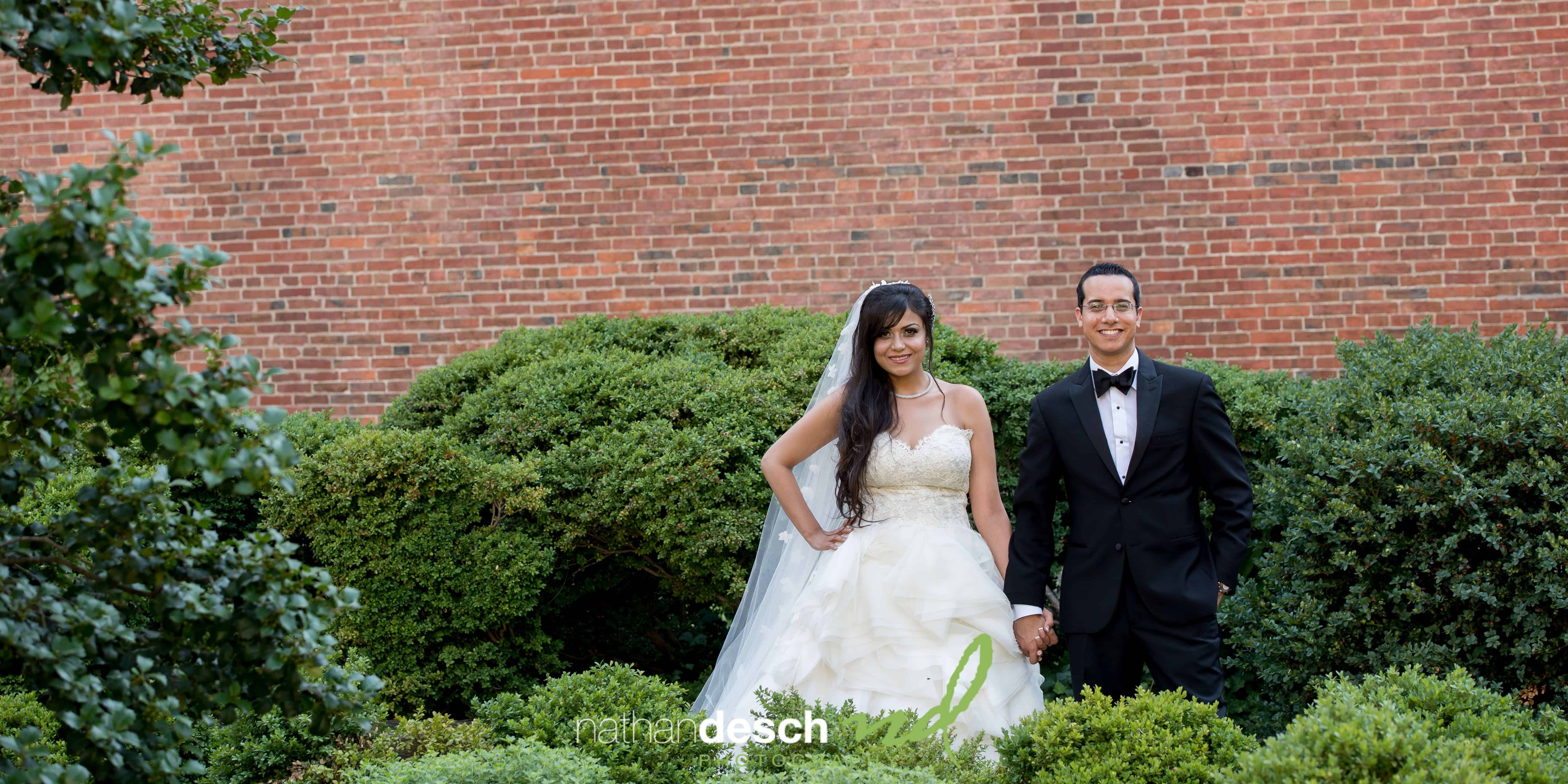 Egyptian Weddings