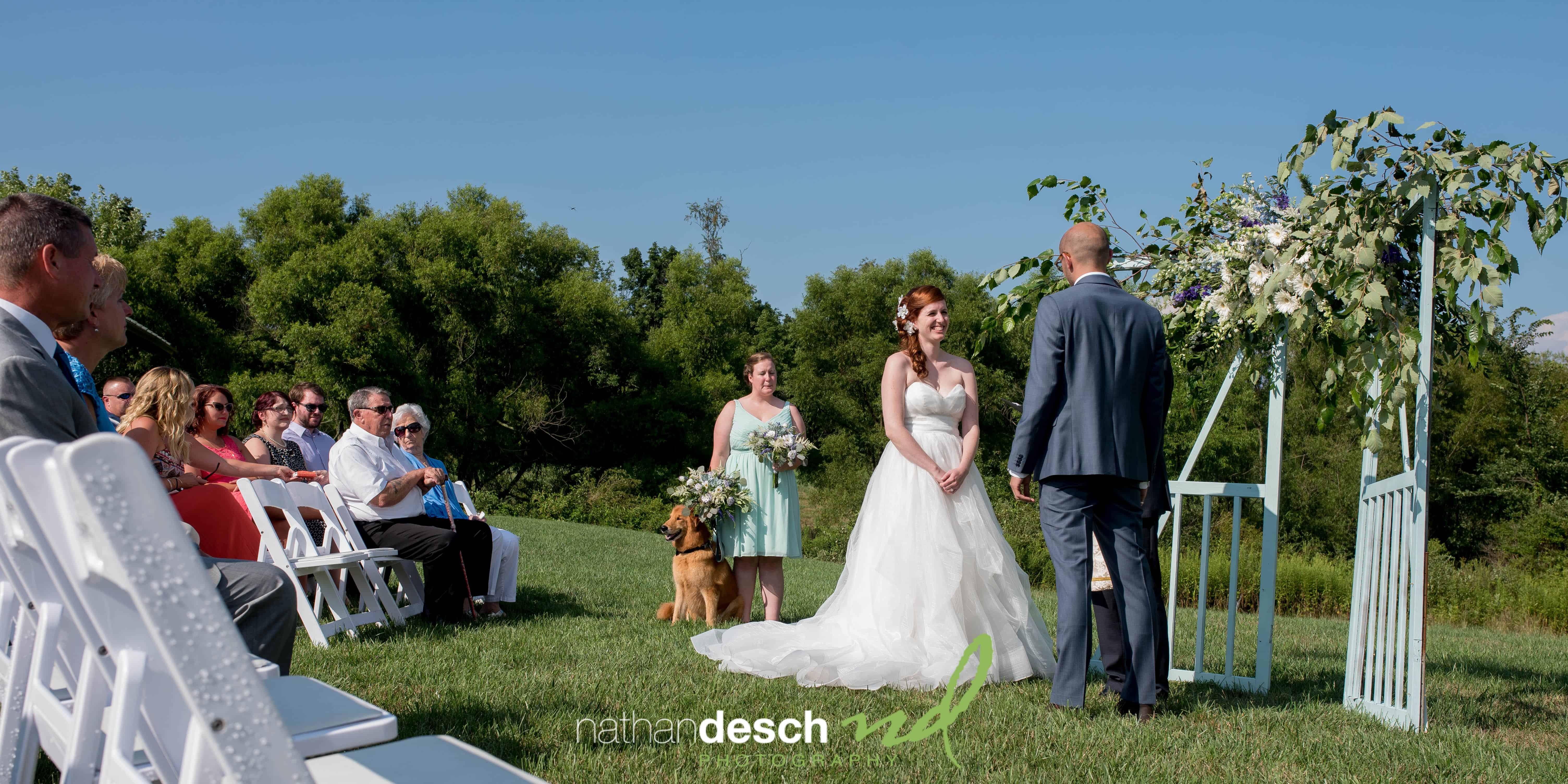 Backyard Wedding York Pa