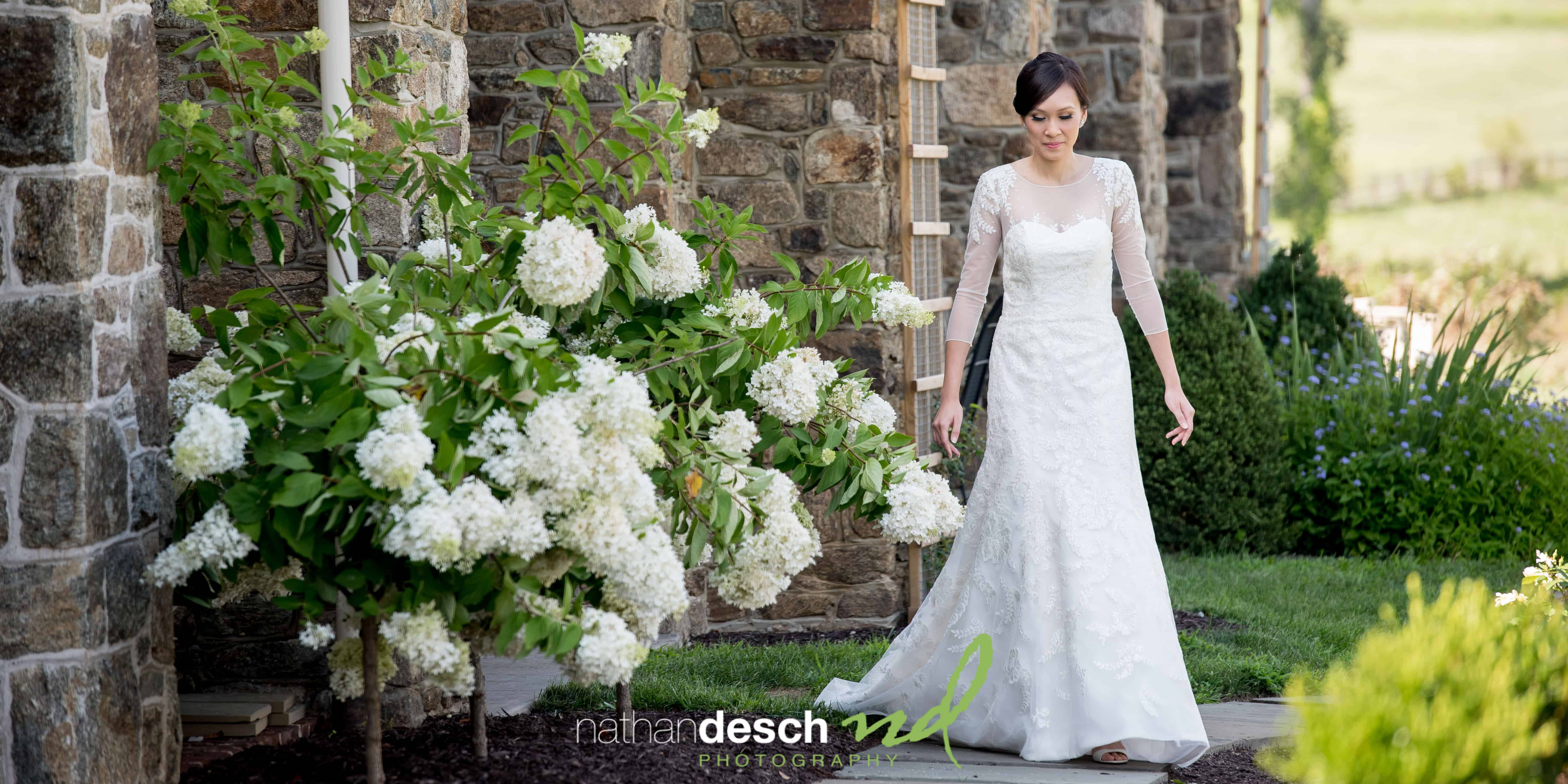 Wedding pictures at French Creek