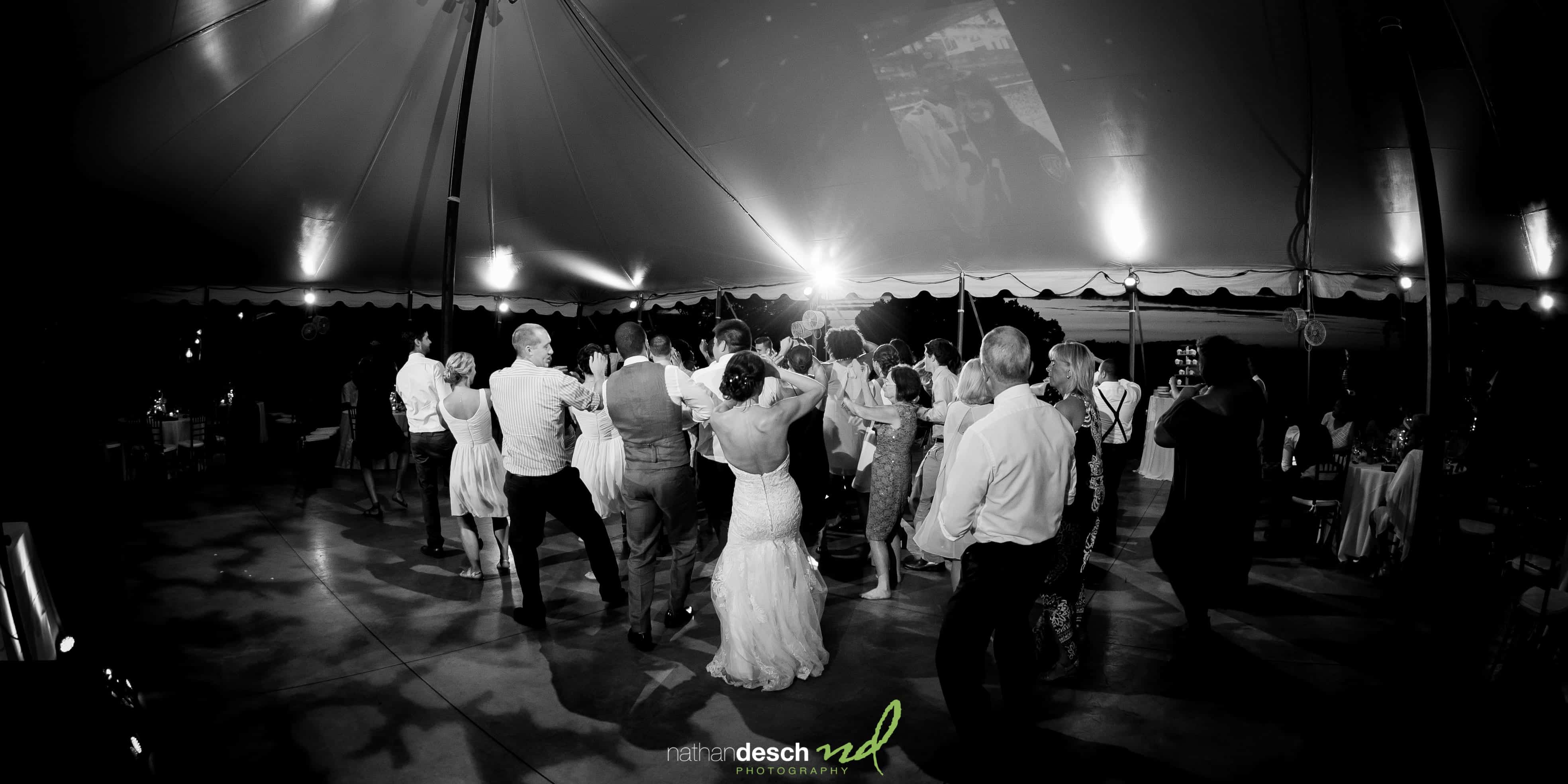 Springton Manor Farm Pictures