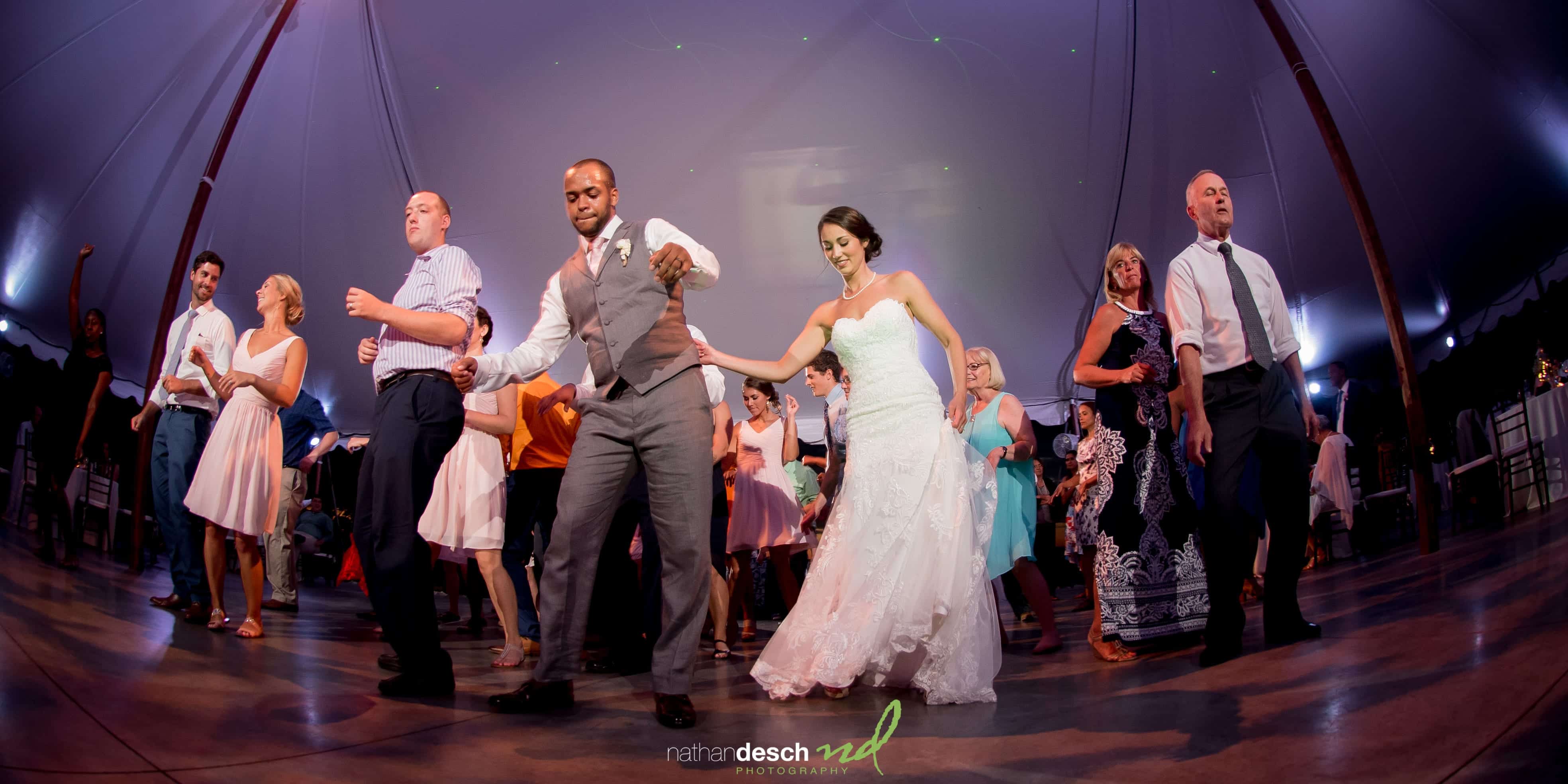 Springton Manor Farm Wedding