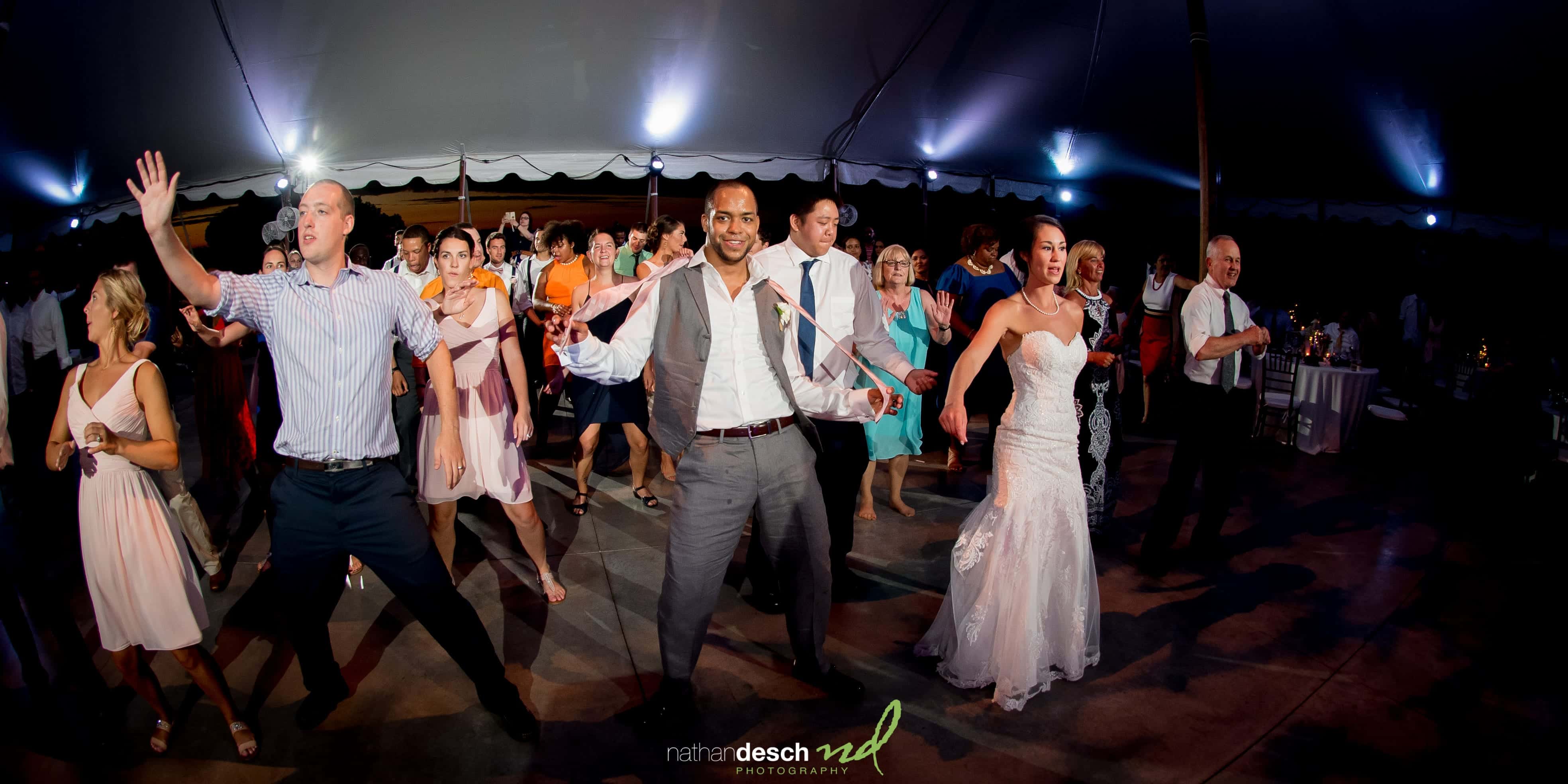 Springton Manor Farm Wedding