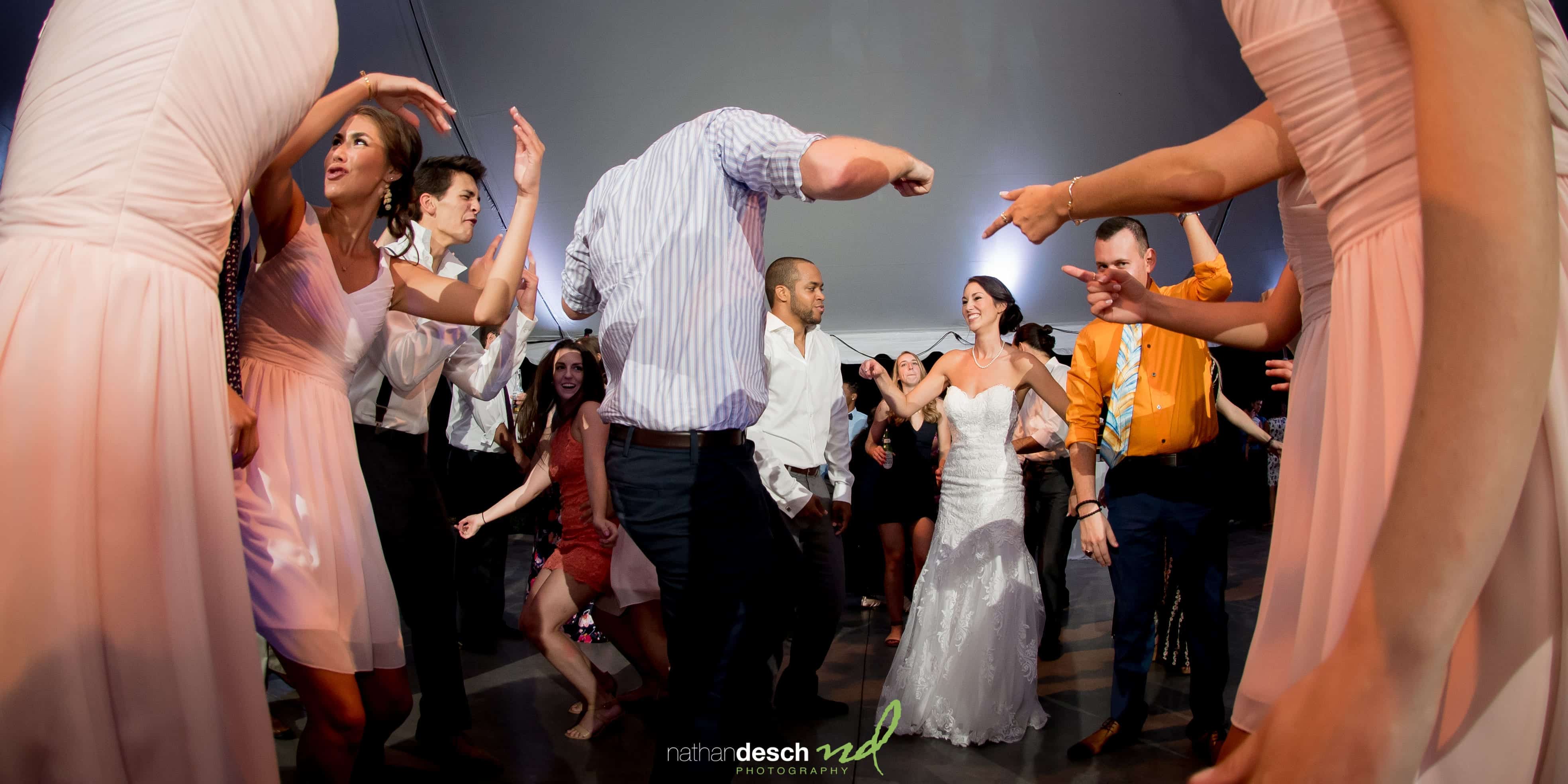 Springton Manor Farm Wedding