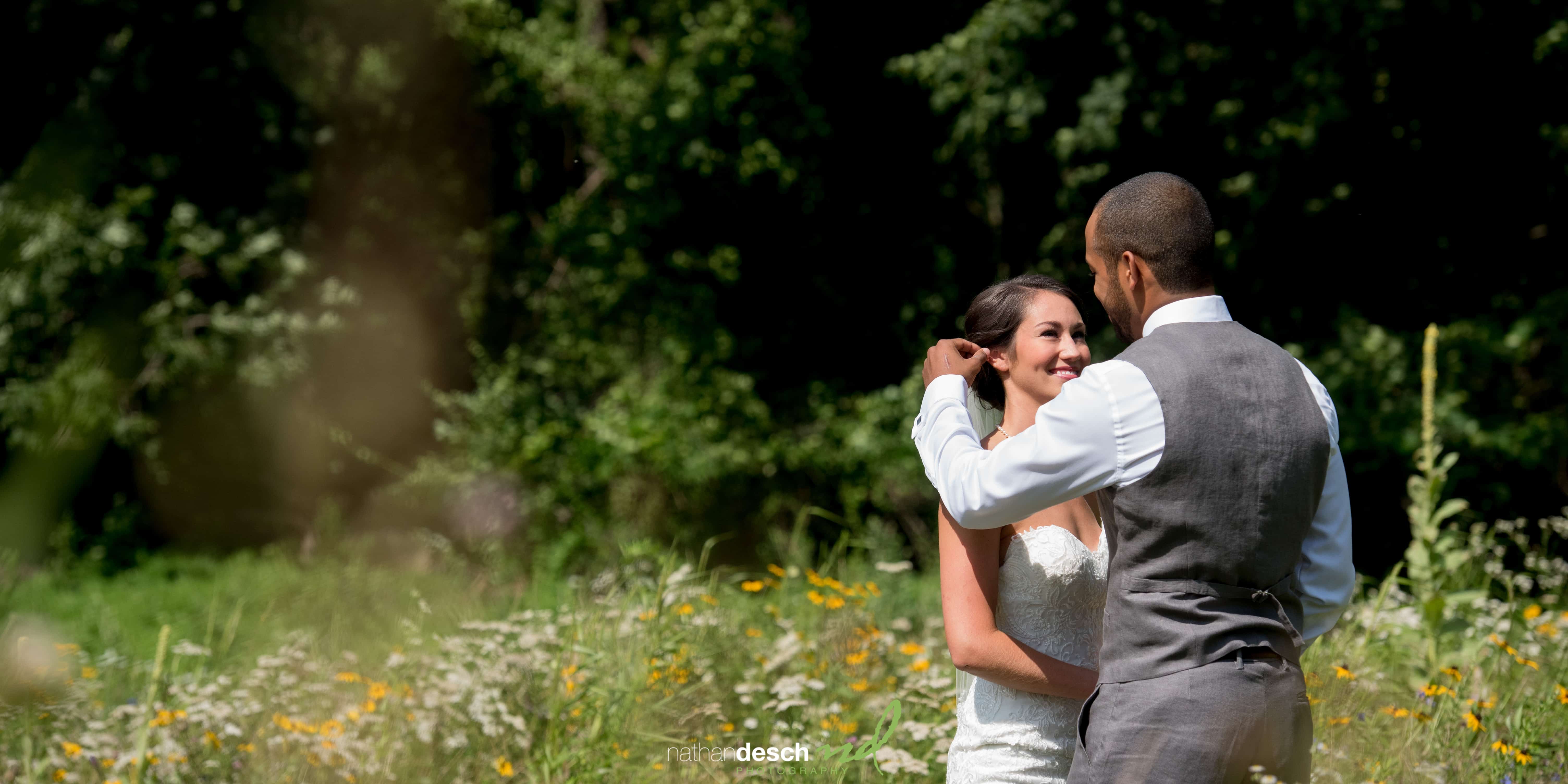 Springton Manor Farm Pictures