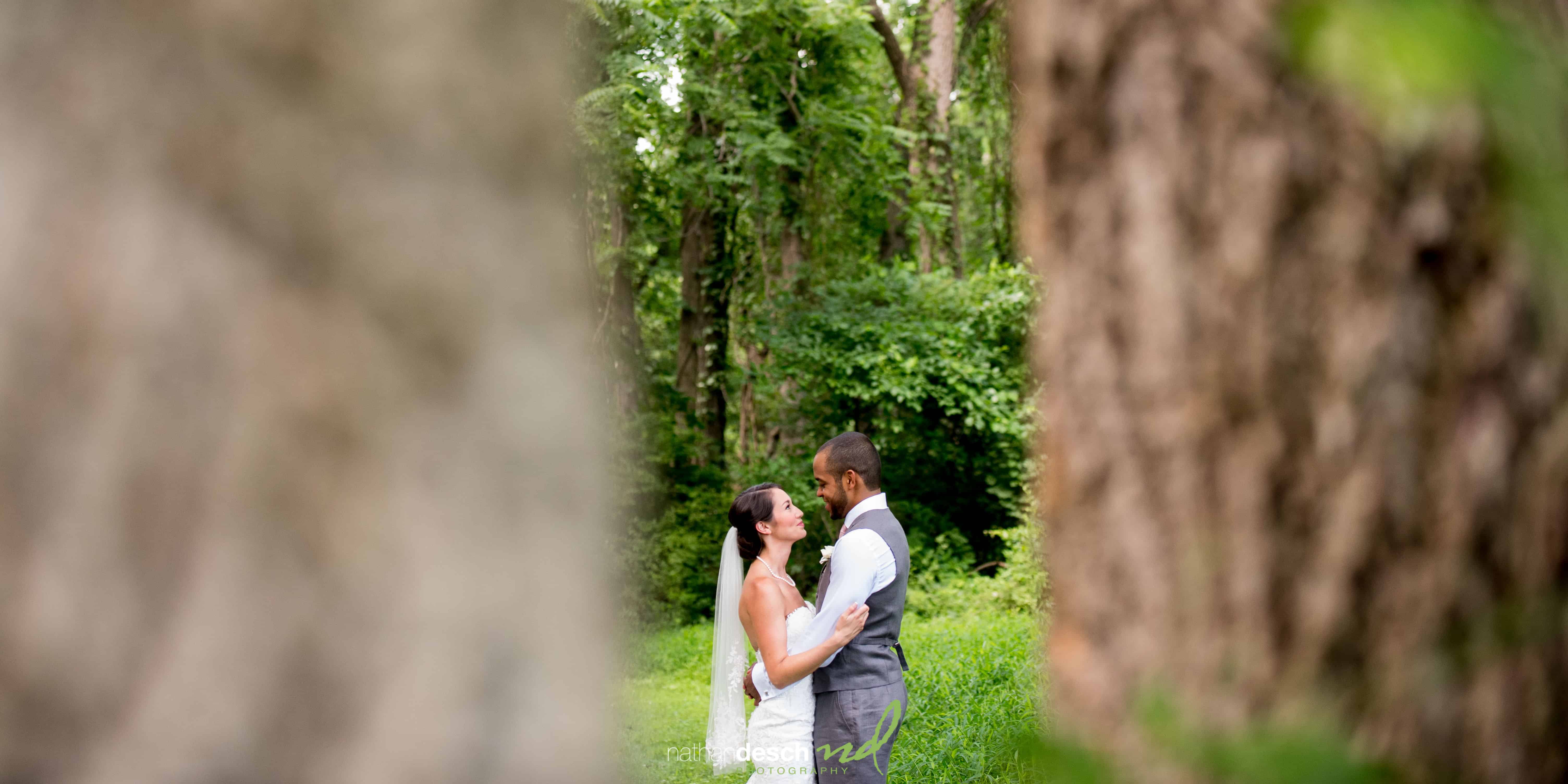 Springton Manor Farm Pictures