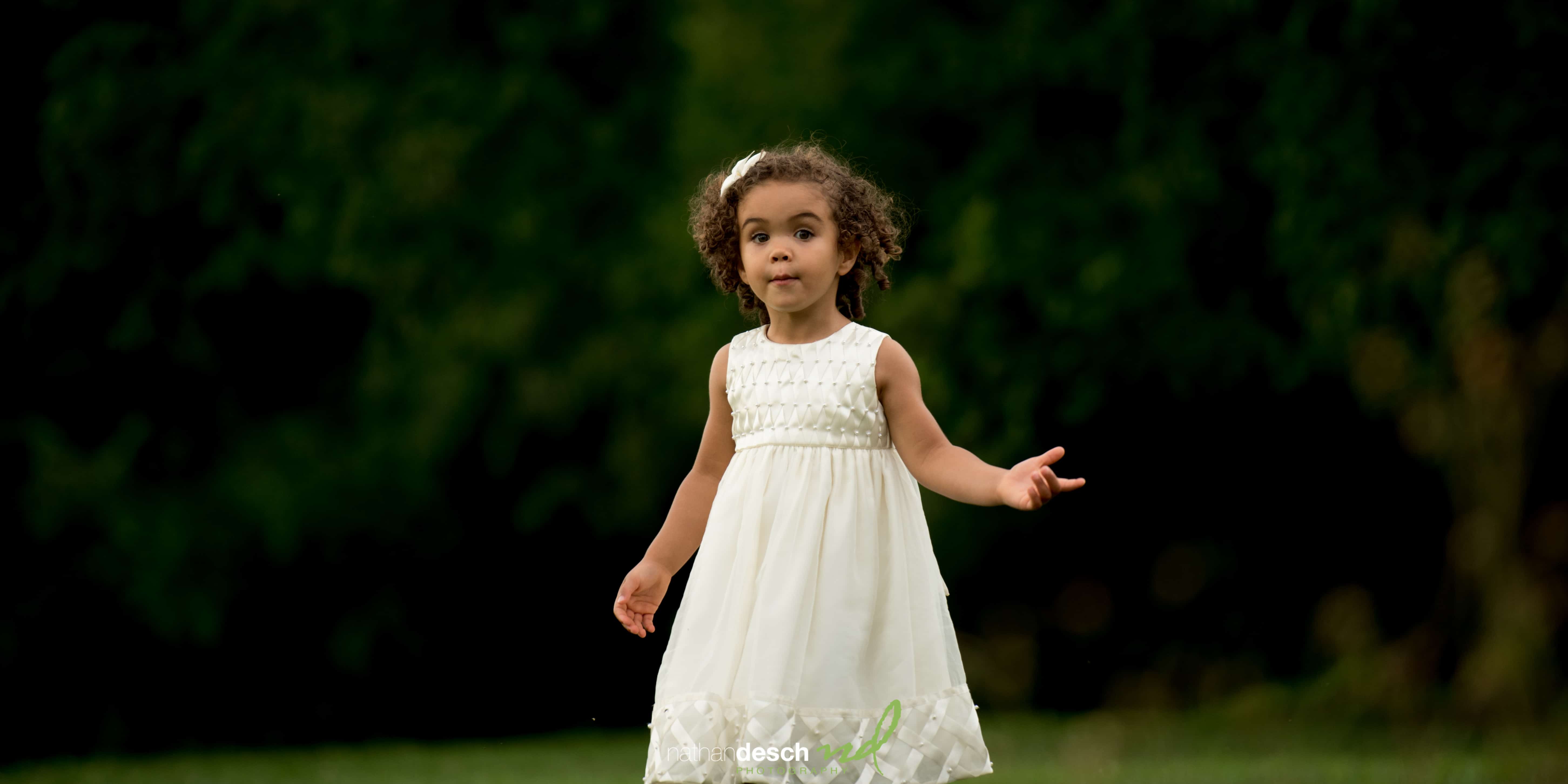 Springton Manor Farm Pictures