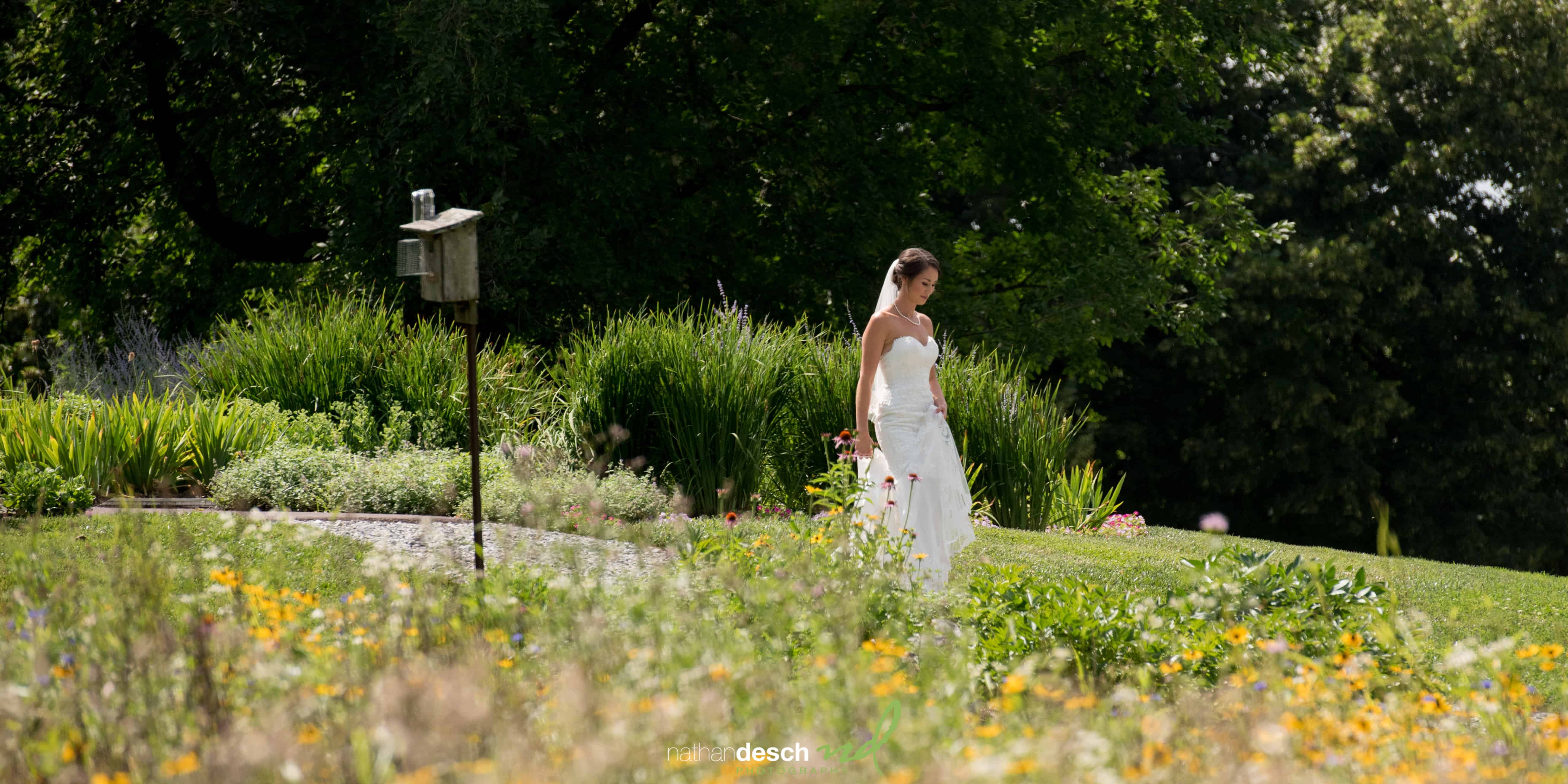 Springton Manor Farm Wedding
